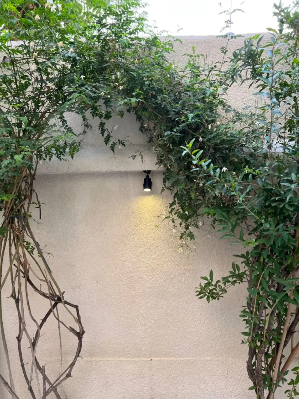 اجاره اداری و تجاری 150 متری در حر - تصویر 2