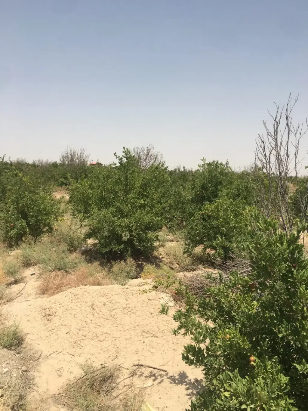 فروش اداری و تجاری 1220 متری در دکتر هوشیار - تصویر 8