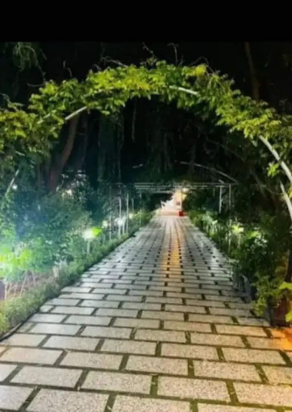اجاره خانه و ویلا 944 متری در جمهوری - تصویر 7
