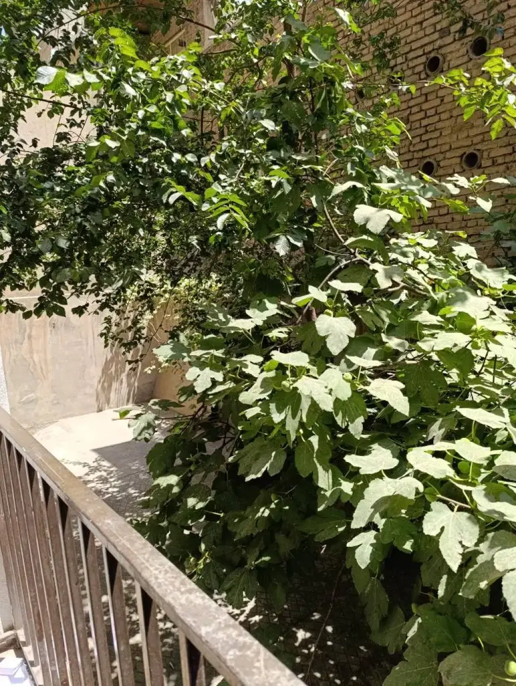 فروش آپارتمان 62 متری در سلیمانی - تصویر 11