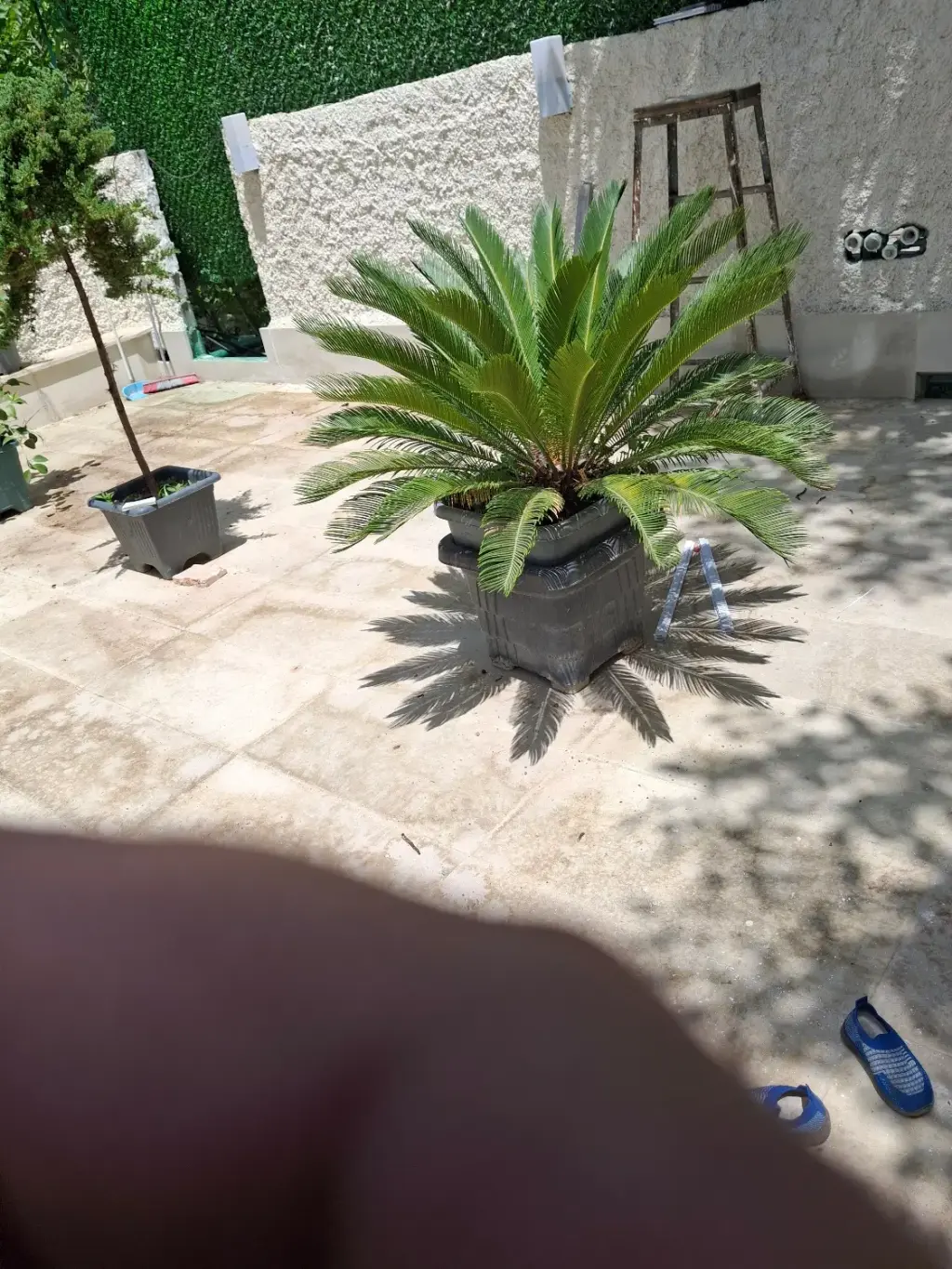 فروش خانه و ویلا 3750 متری در سیمای ایران - تصویر 5