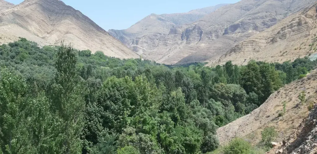 فروش خانه و ویلا 2000 متری در پرستار - تصویر 17