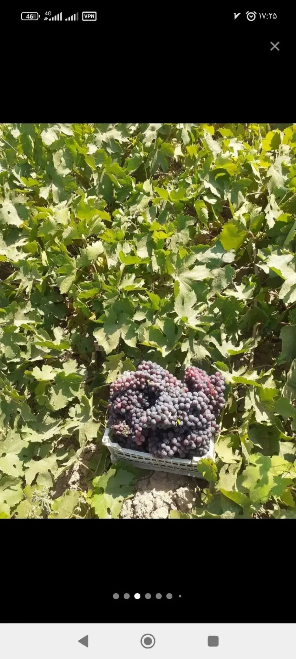 فروش اداری و تجاری 3000 متری در توحید