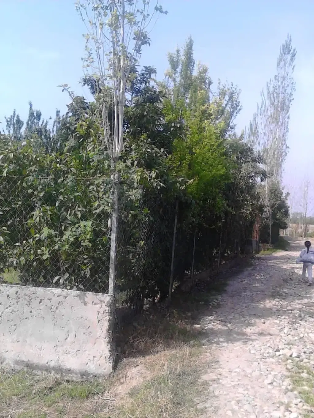 فروش اداری و تجاری 4600 متری در افسریه شمالی - تصویر 4