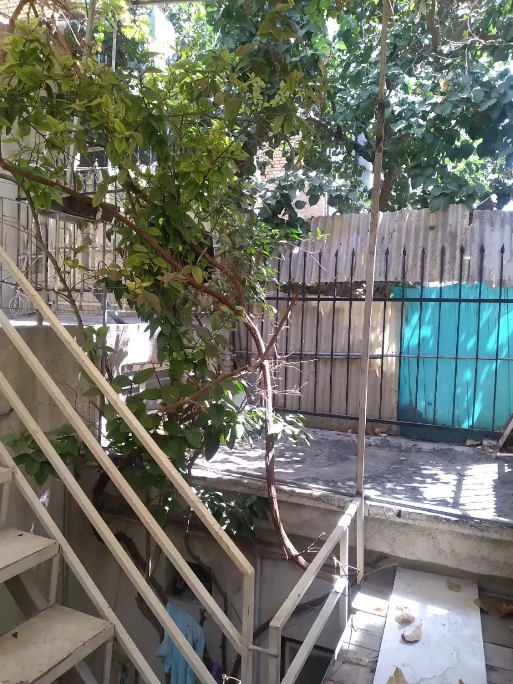 فروش خانه و ویلا 55 متری در مینابی - تصویر 6