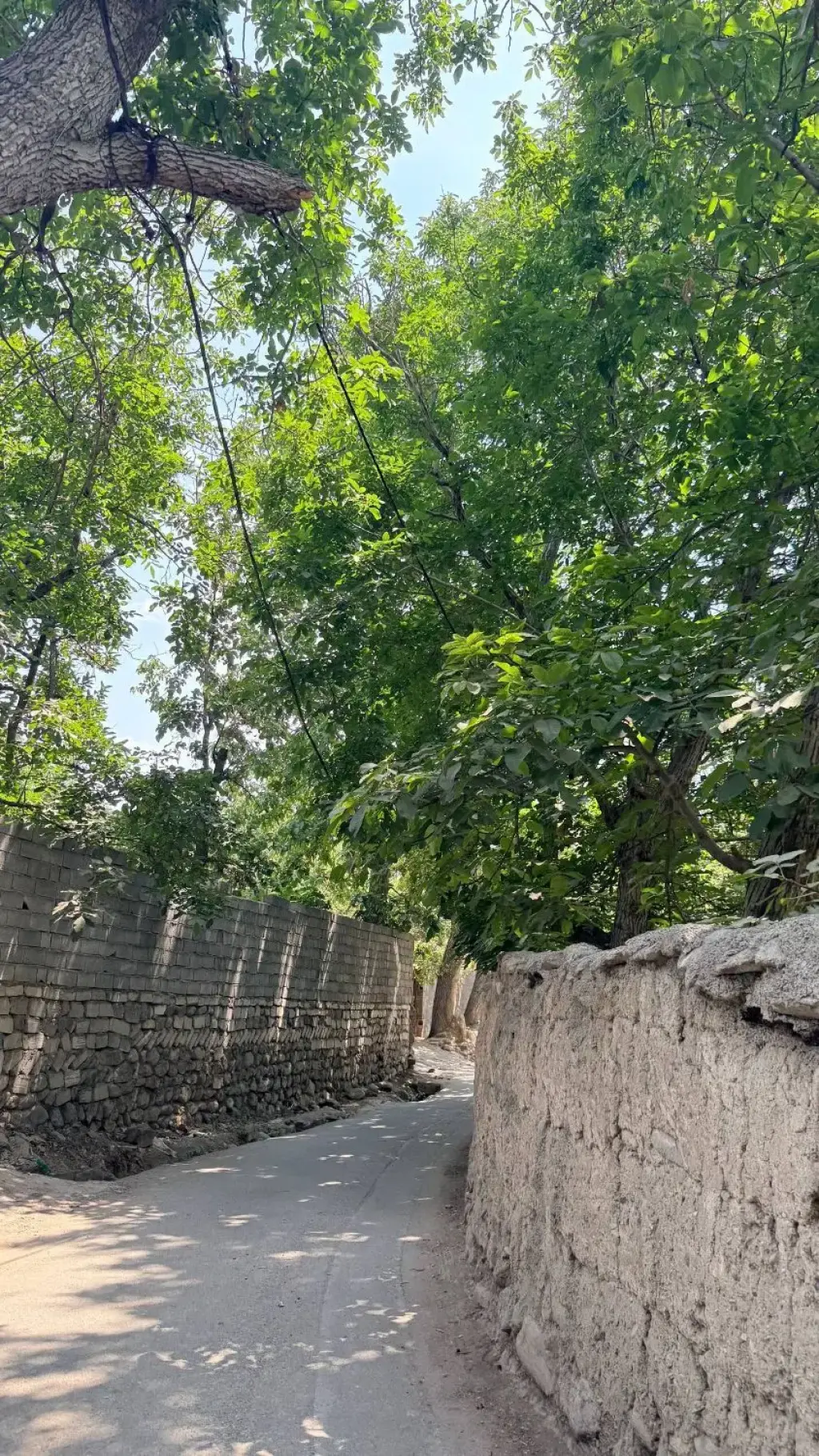 فروش زمین و کلنگی 1500 متری در شهران شمالی - تصویر 7