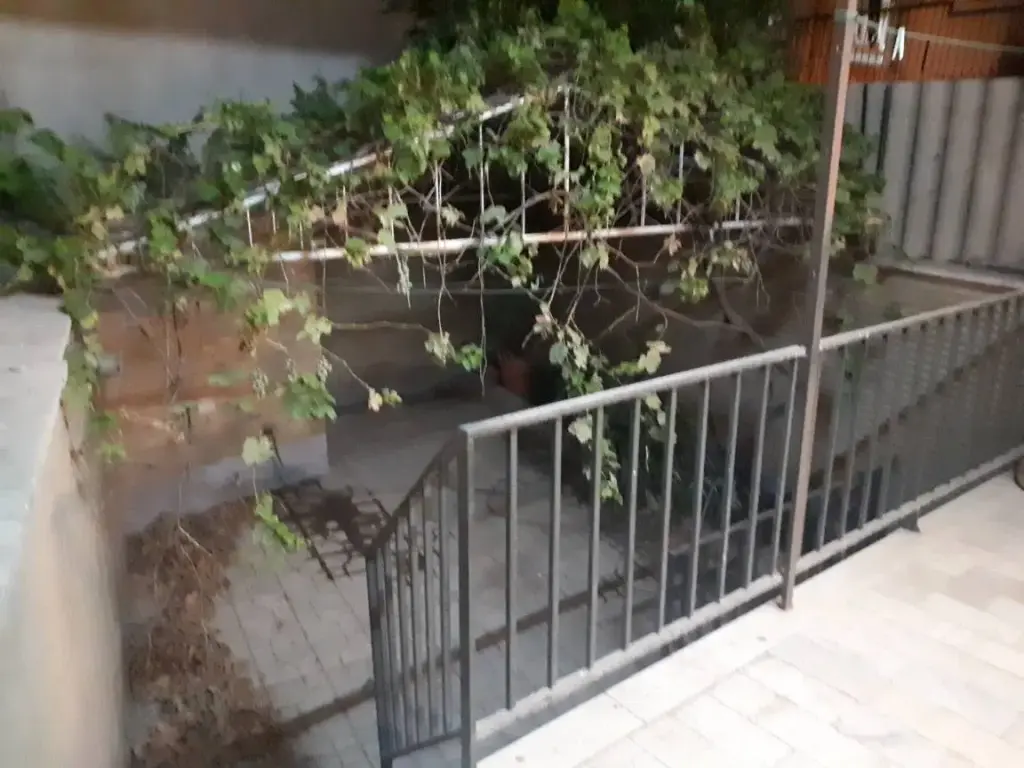 اجاره آپارتمان 50 متری در شکوفه - تصویر 2