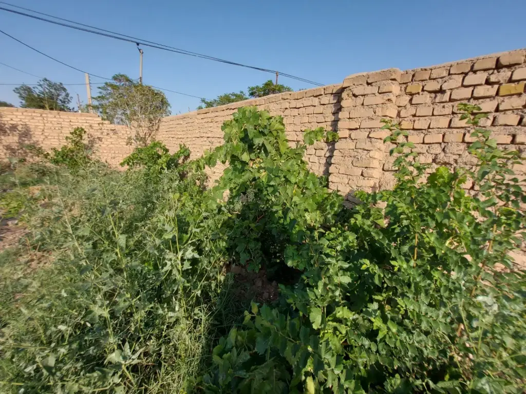 فروش اداری و تجاری 1000 متری در شکوفه - تصویر 6