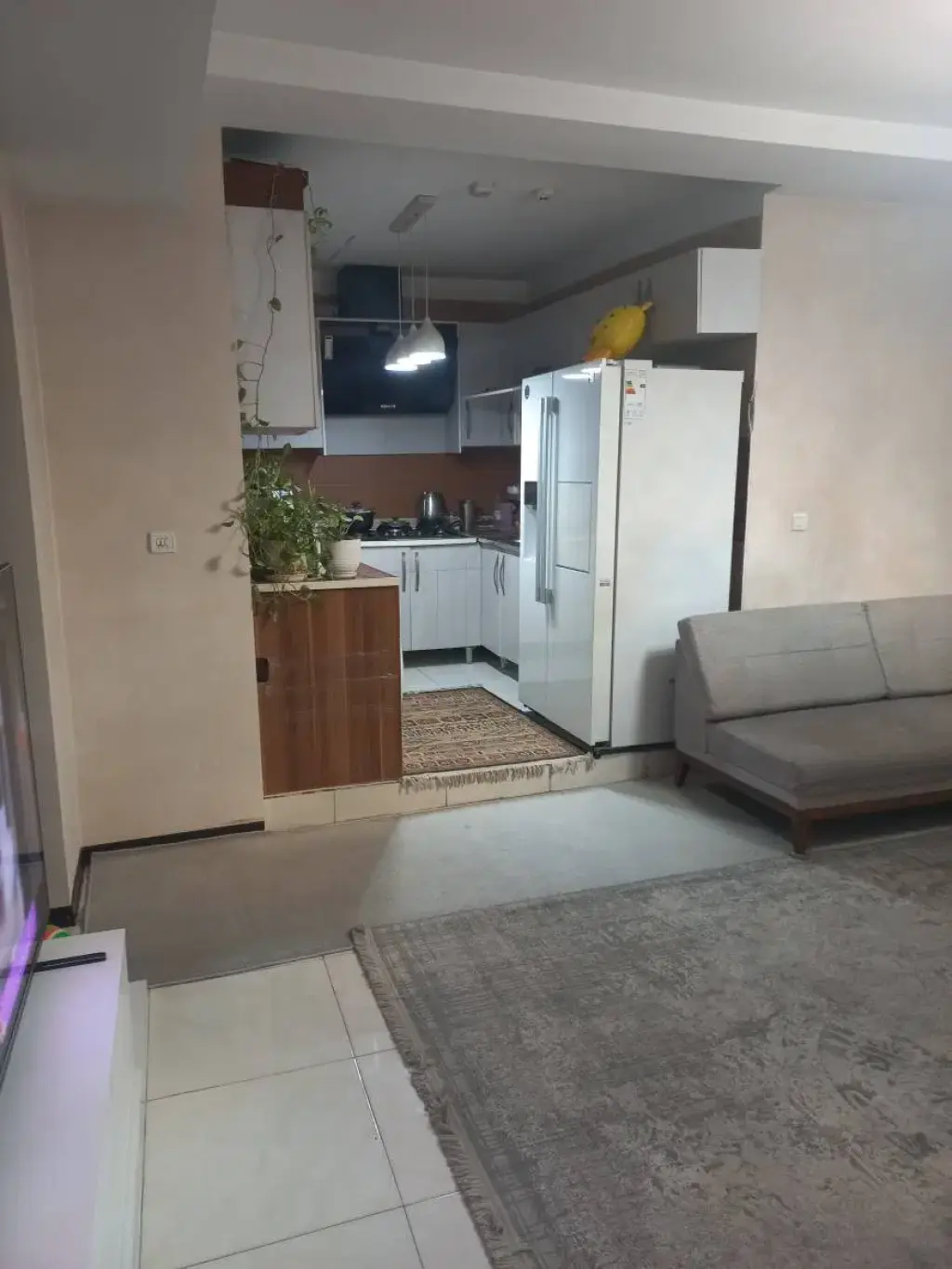 اجاره آپارتمان 55 متری در دولت‌آباد - تصویر 4