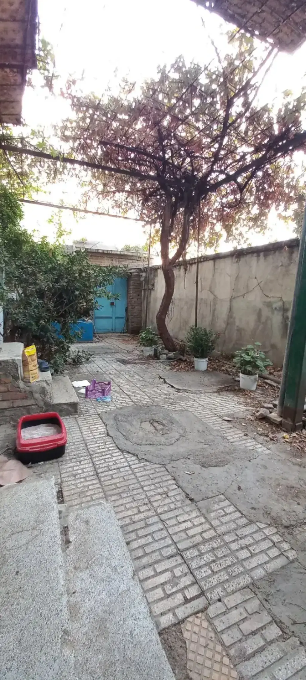 اجاره خانه و ویلا 100 متری در درکه