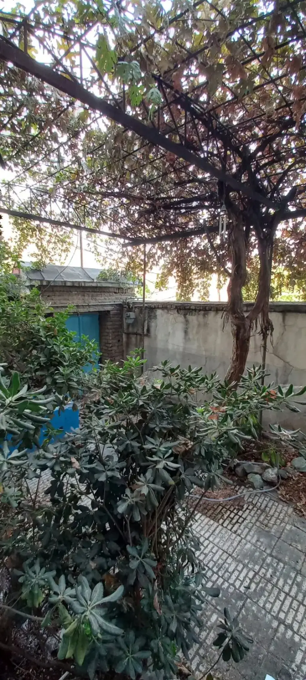 اجاره خانه و ویلا 100 متری در درکه - تصویر 2