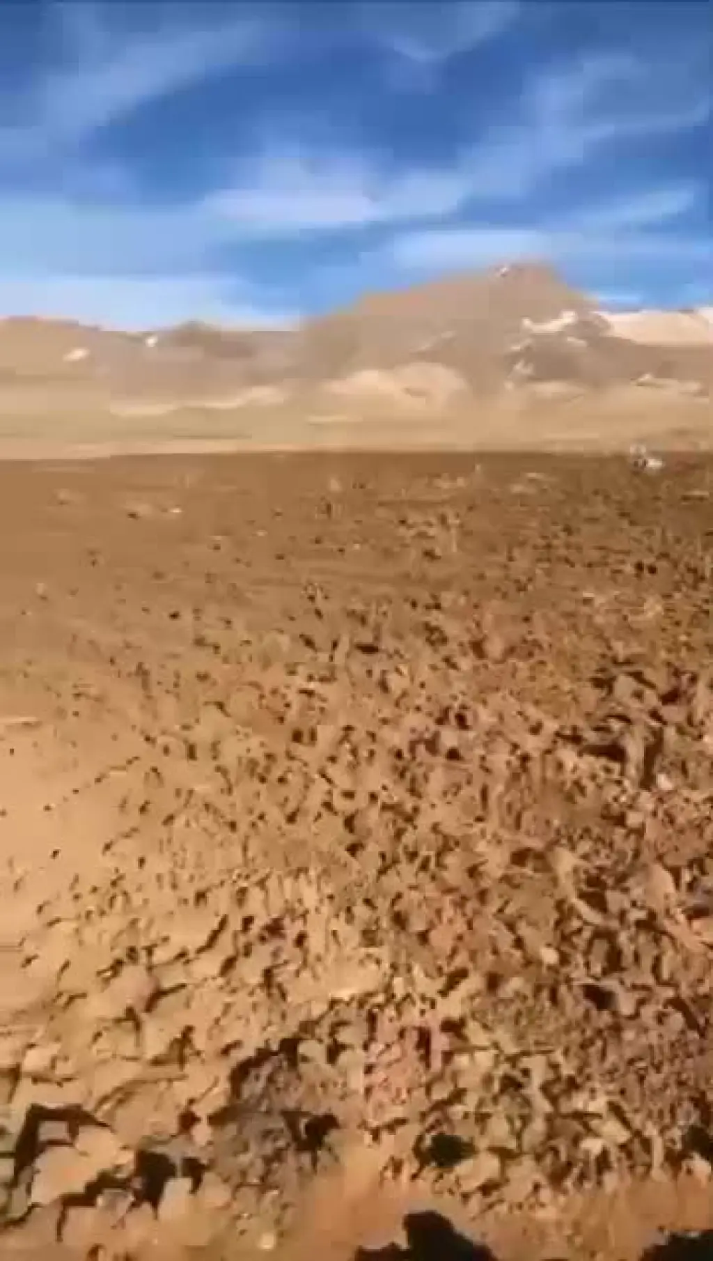 اجاره اداری و تجاری 1000000 متری در شهرک غرب