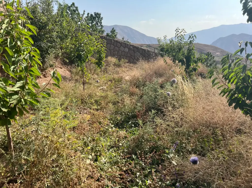 فروش زمین و کلنگی 870 متری در حافظیه - تصویر 5
