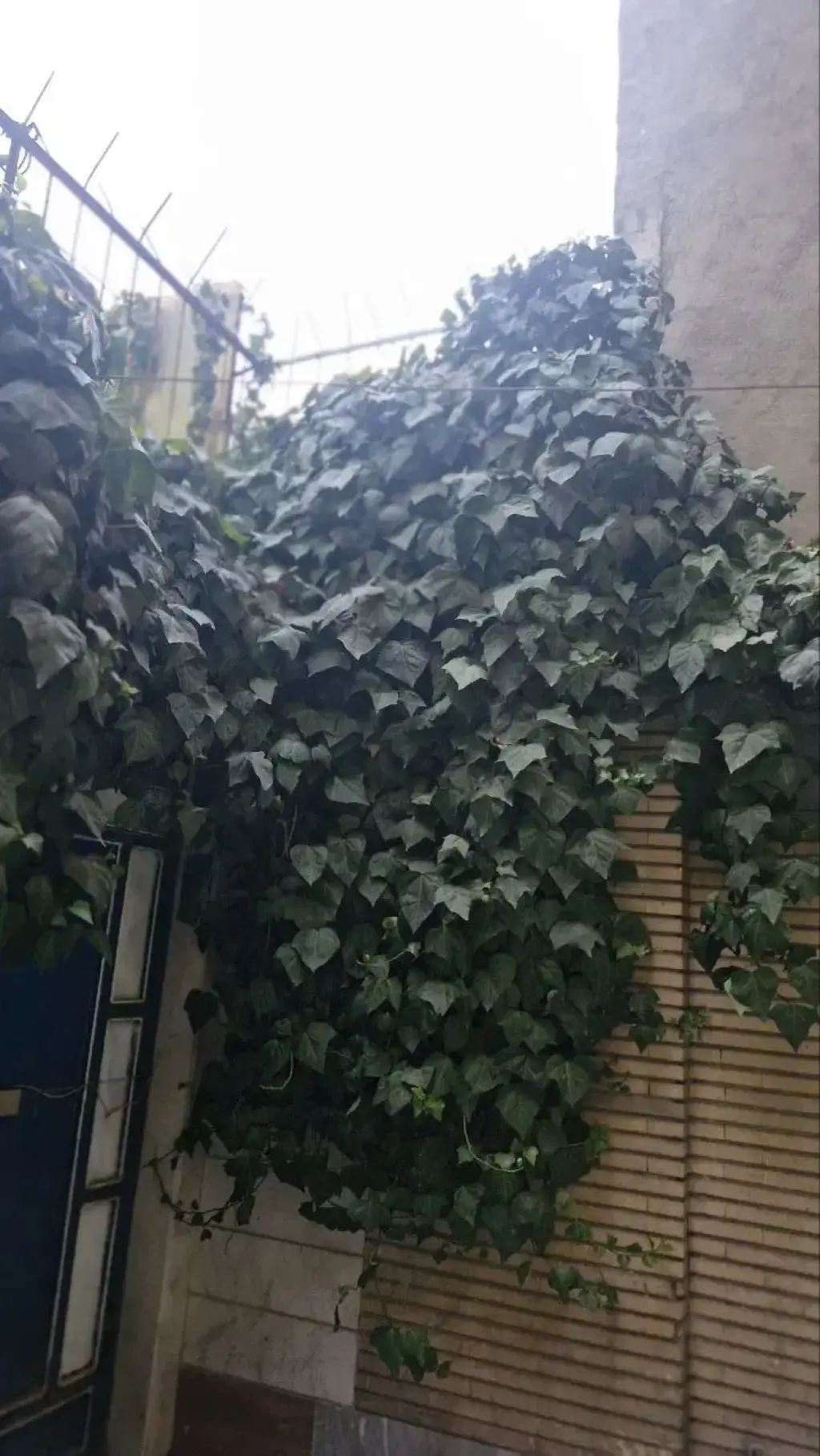 اجاره آپارتمان 75 متری در کوثر - تصویر 11