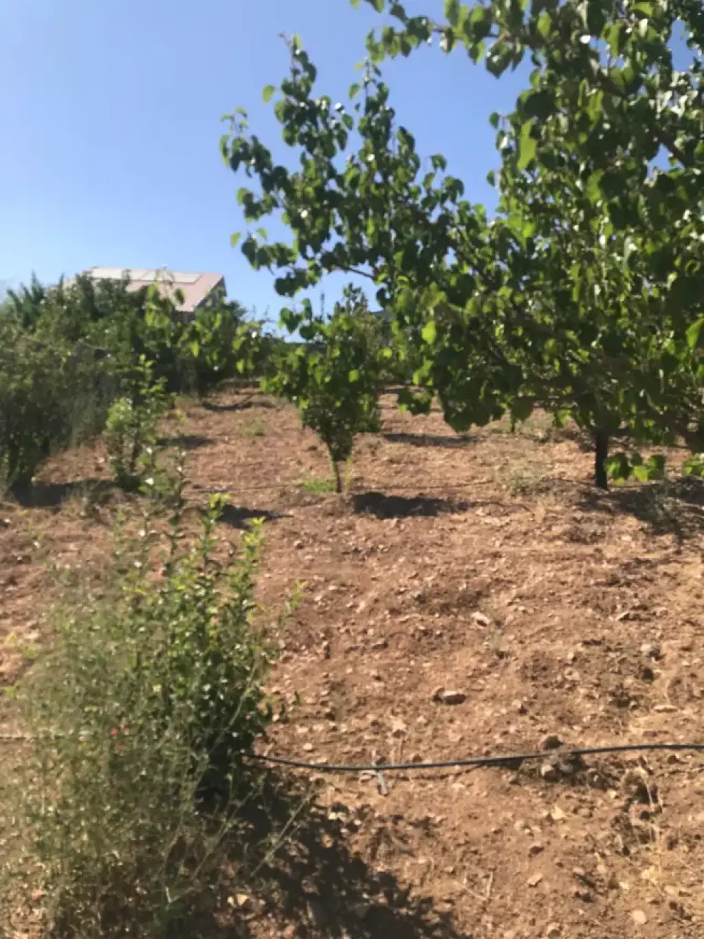 فروش خانه و ویلا 900 متری در فدک
