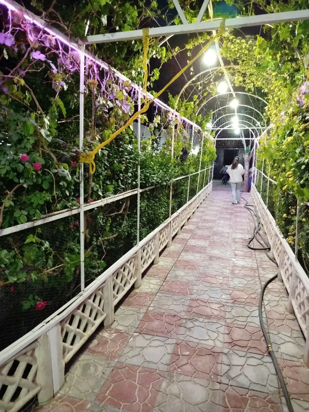 فروش خانه و ویلا 472 متری در شیخ هادی - تصویر 2