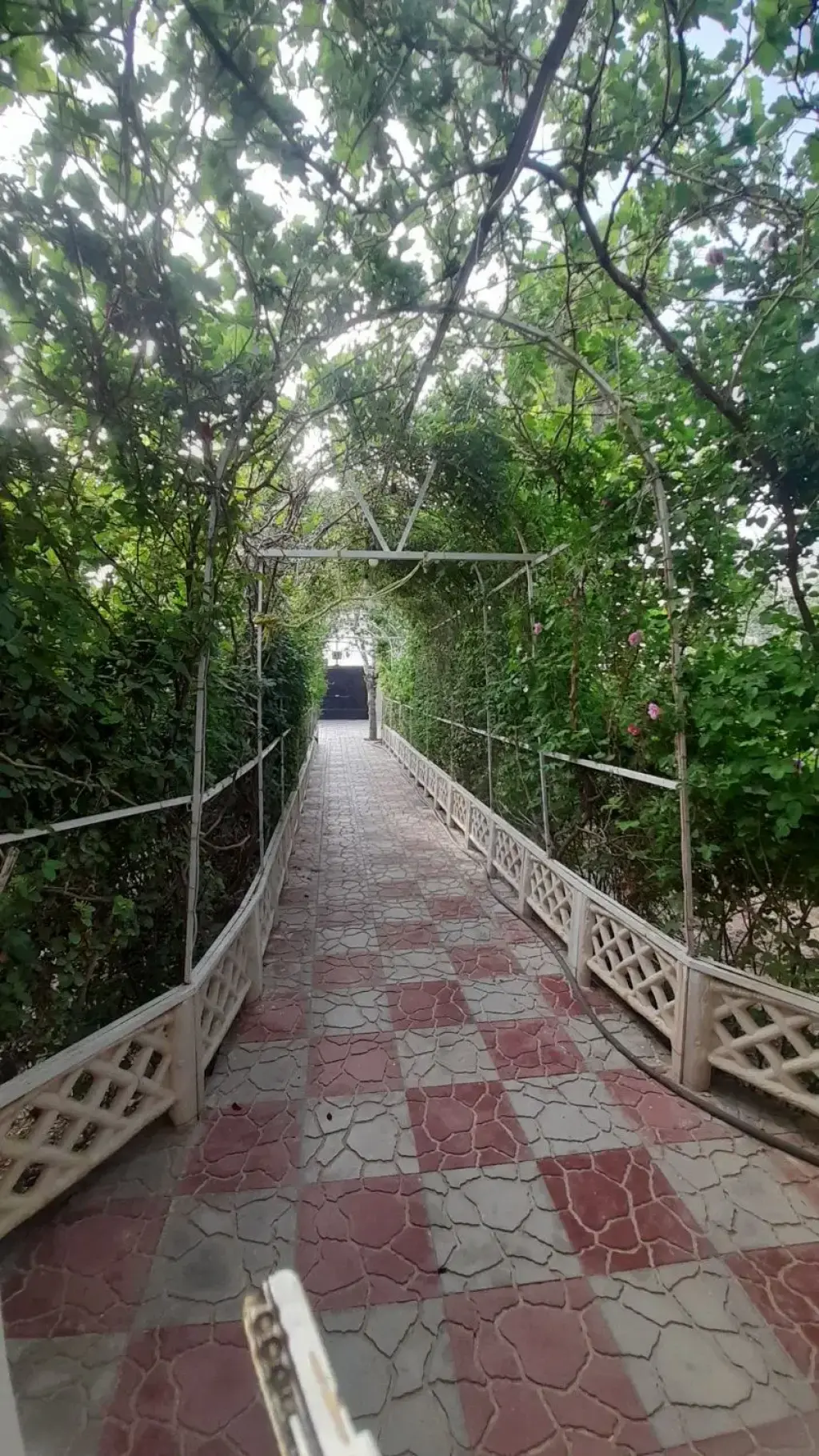 فروش خانه و ویلا 472 متری در شیخ هادی - تصویر 5