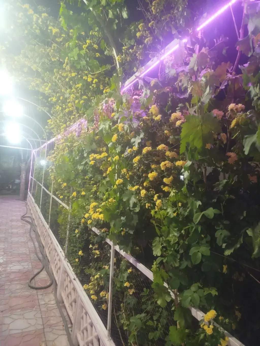 فروش خانه و ویلا 472 متری در شیخ هادی - تصویر 10