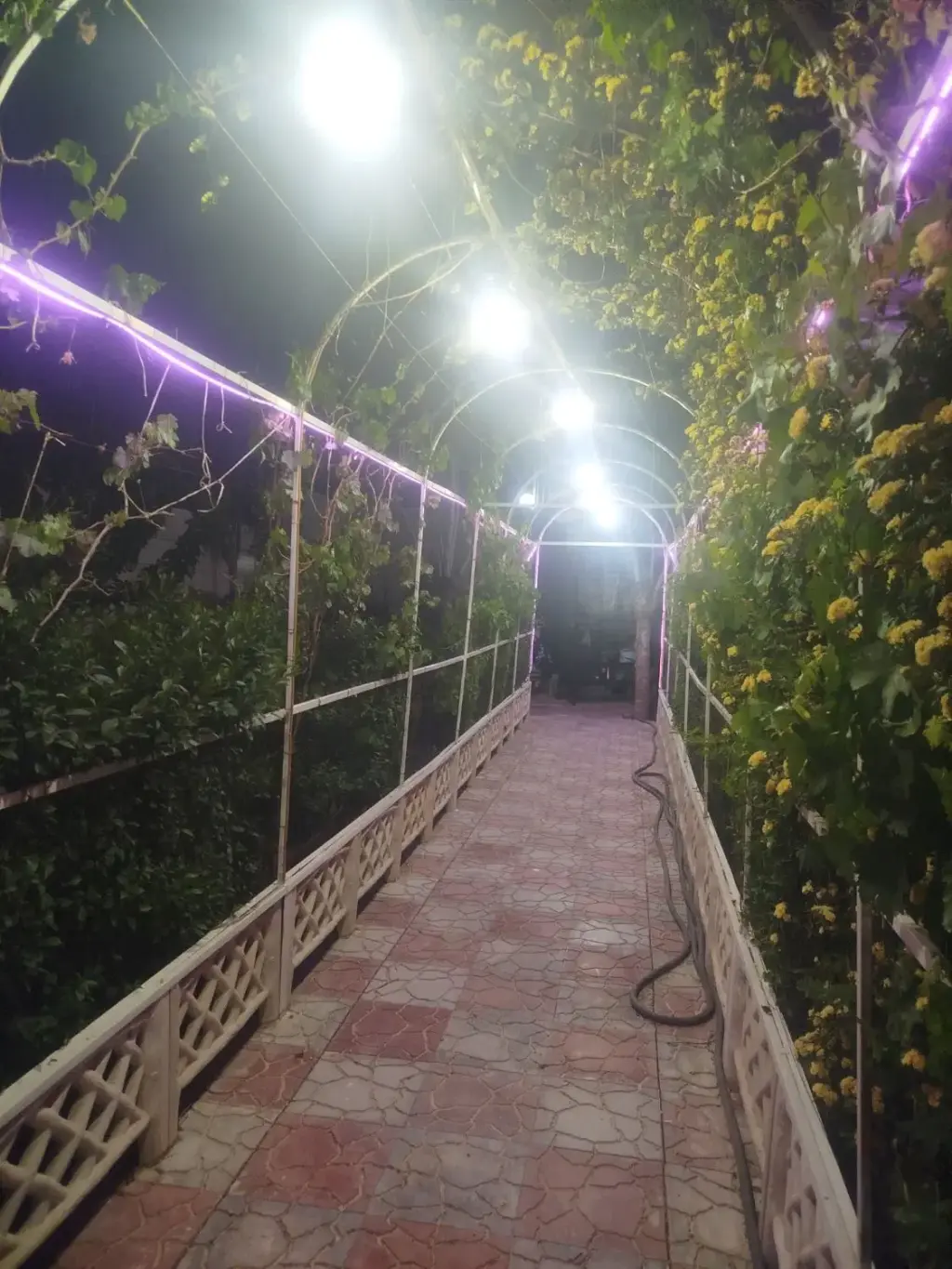 فروش خانه و ویلا 472 متری در شیخ هادی - تصویر 11