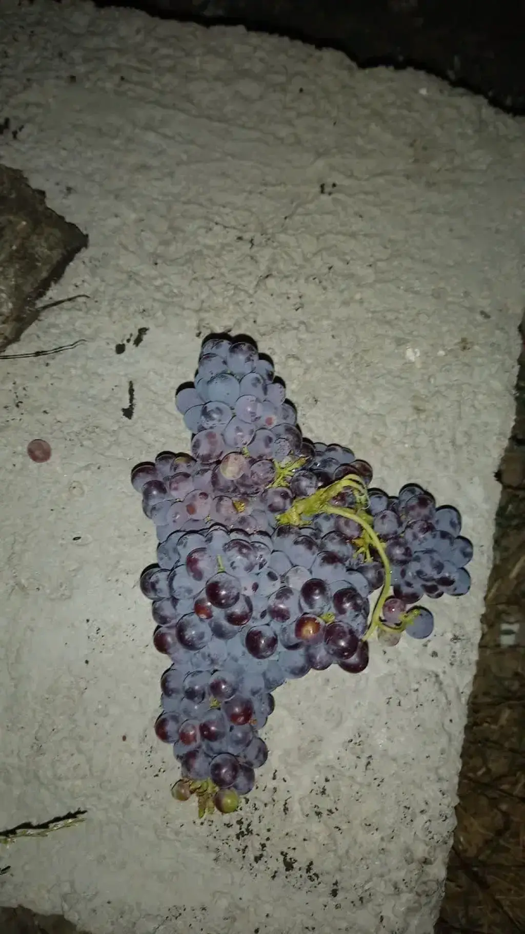 فروش اداری و تجاری 2500 متری در طرشت - تصویر 5