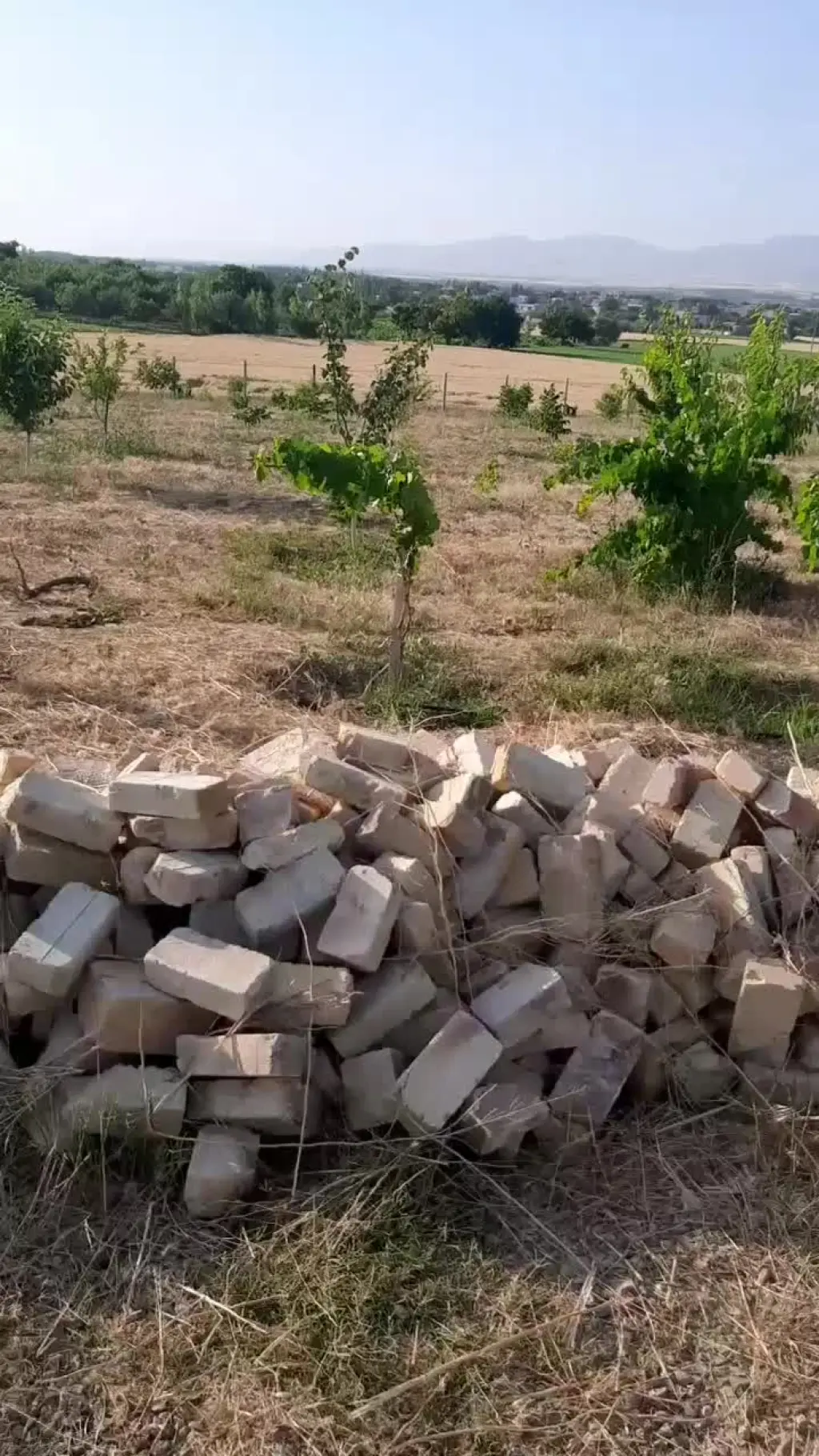 فروش اداری و تجاری 2500 متری در طرشت