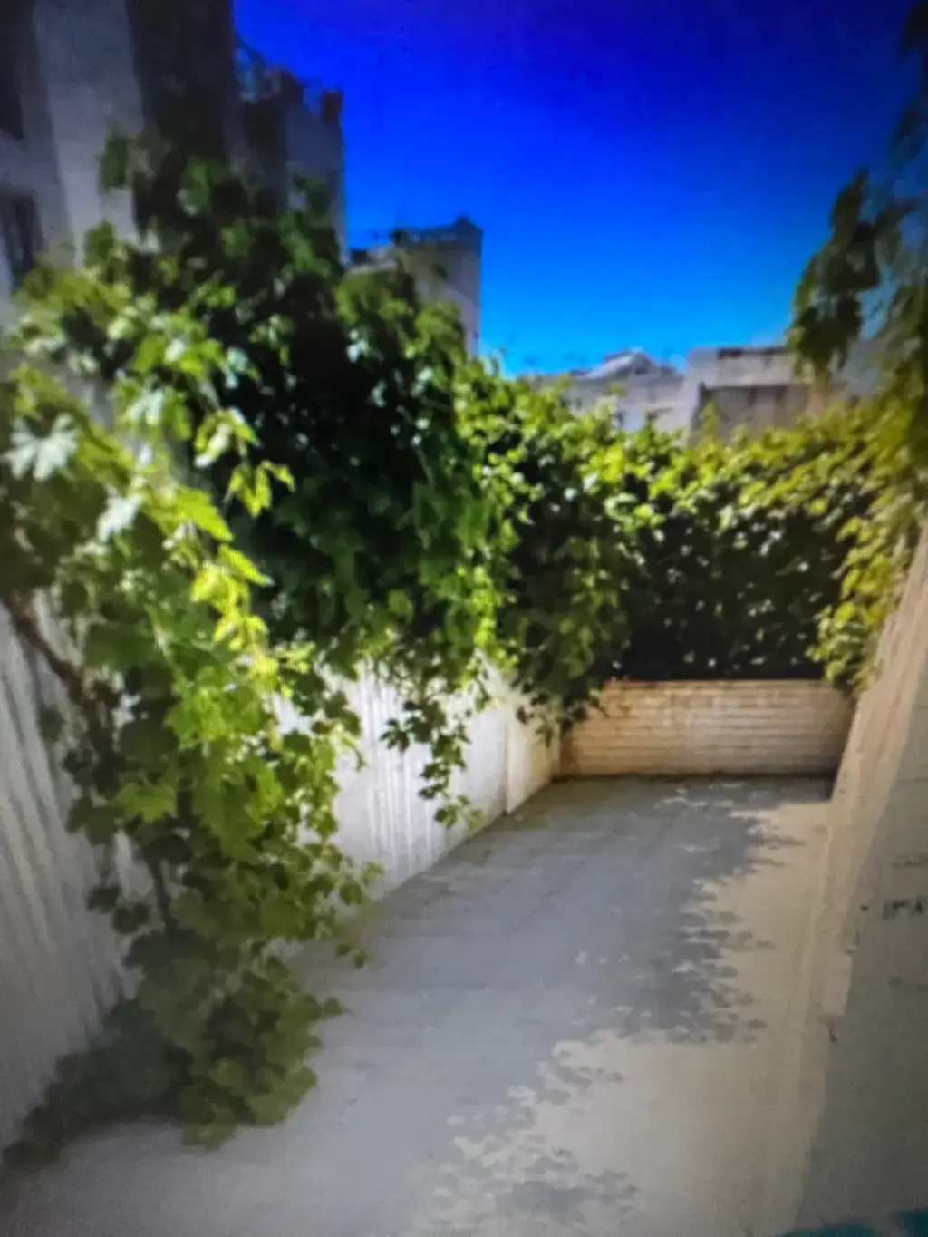اجاره خانه و ویلا 100 متری در خواجه نظام الملک