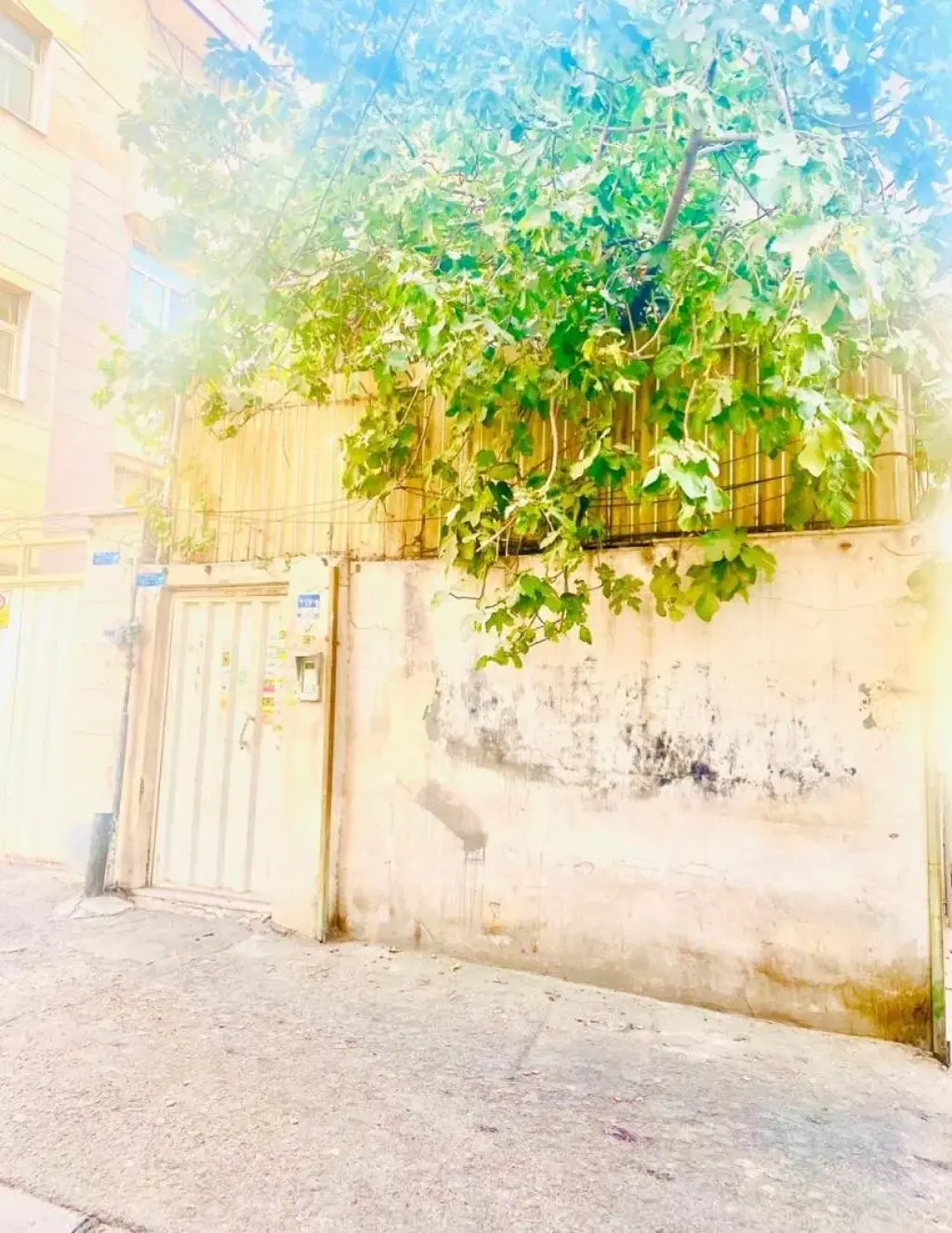 اجاره خانه و ویلا 50 متری در سلسبیل جنوبی