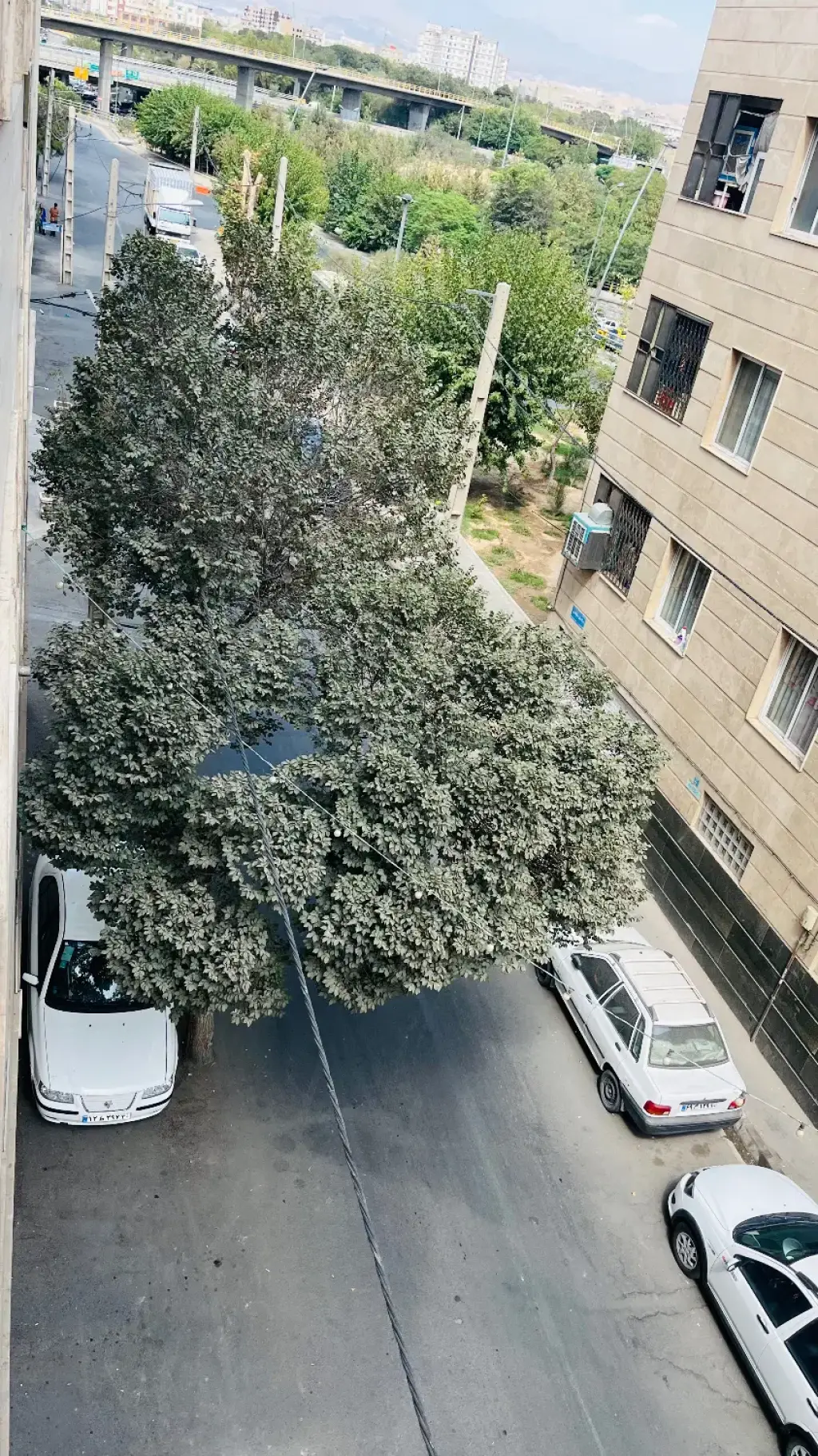 اجاره آپارتمان 75 متری در مینابی