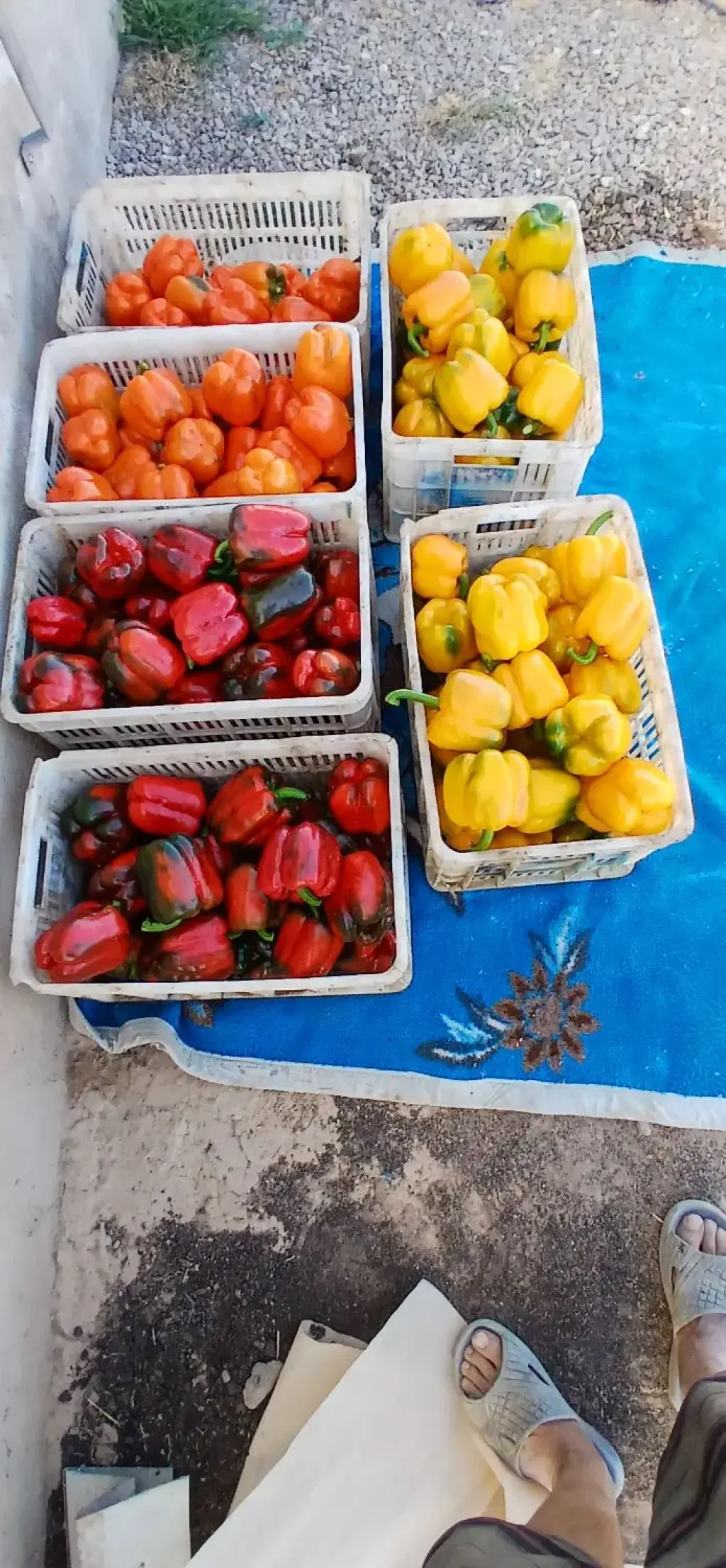 فروش اداری و تجاری 12000 متری در تهرانپارس شرقی - تصویر 15