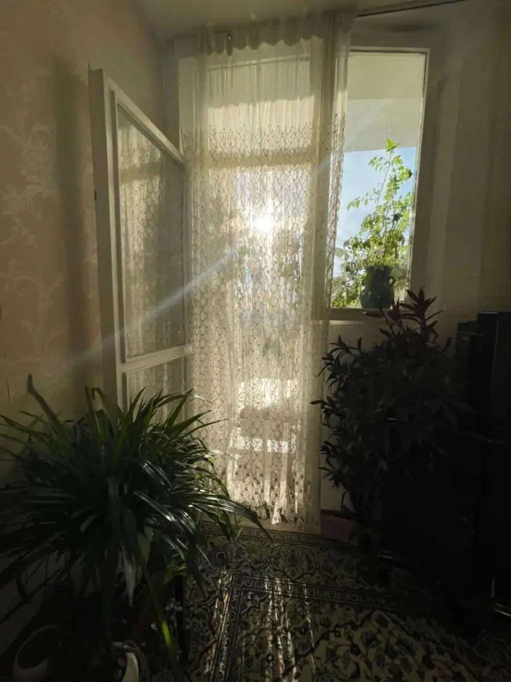 اجاره آپارتمان 70 متری در گلاب دره - تصویر 8