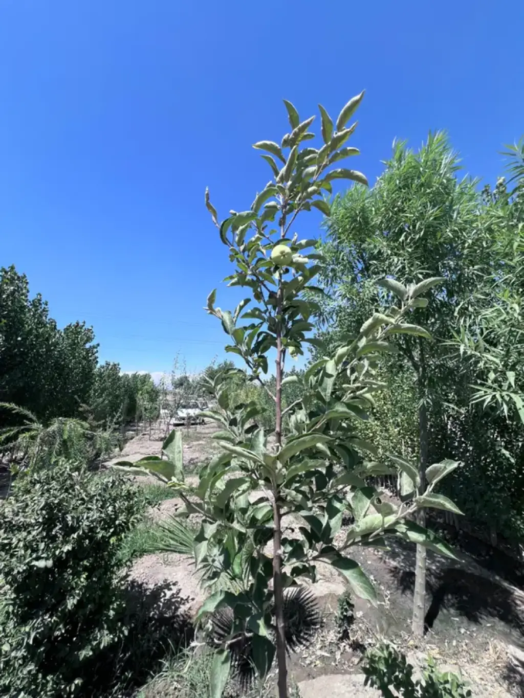 فروش اداری و تجاری 308 متری در تصفیه خانه - تصویر 3