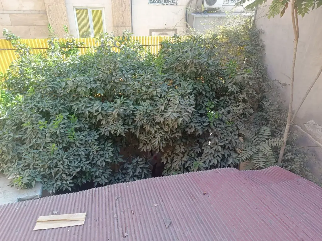 اجاره خانه و ویلا 110 متری در صفا - تصویر 5