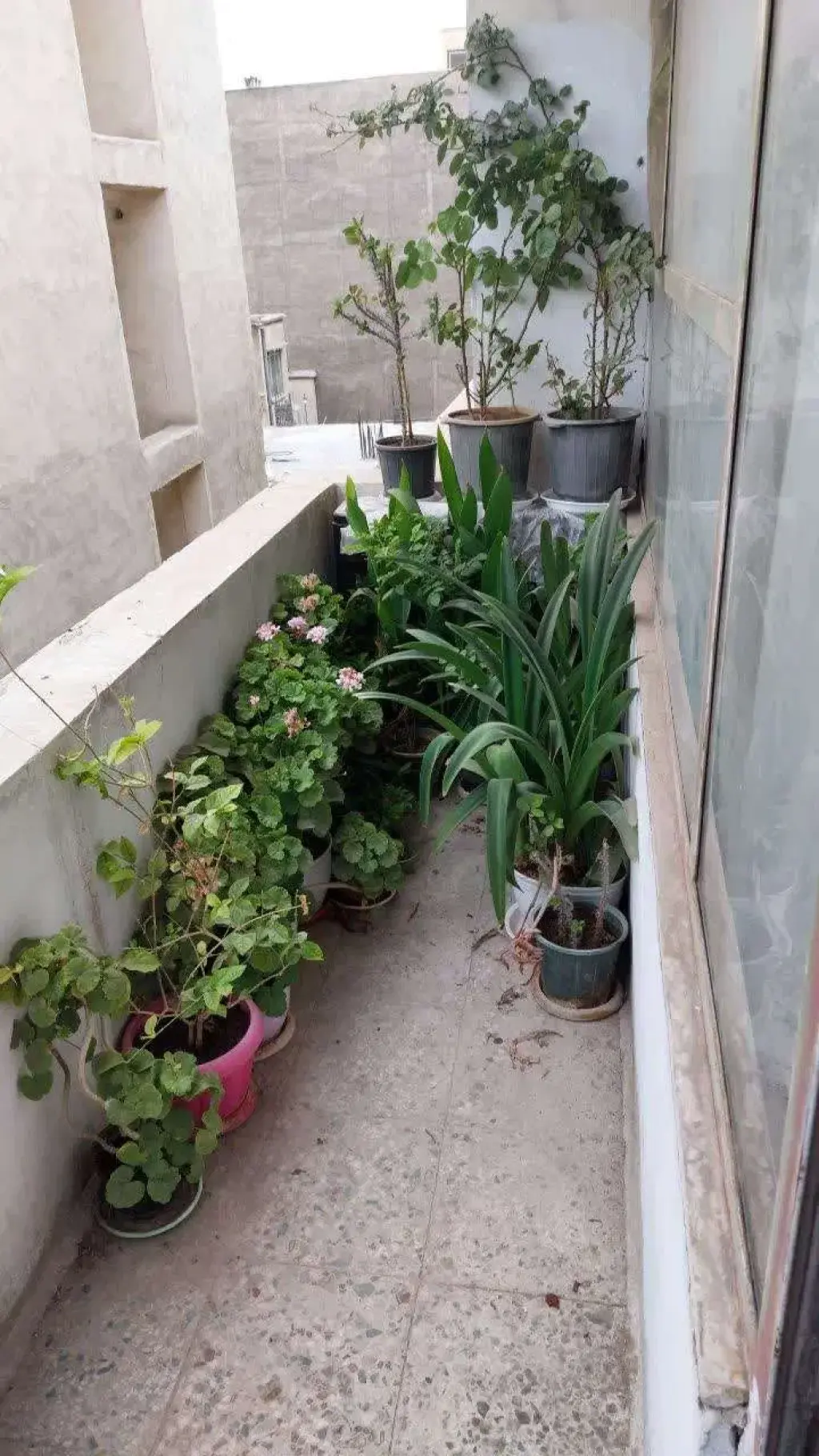 اجاره آپارتمان 90 متری در مخصوص - تصویر 10