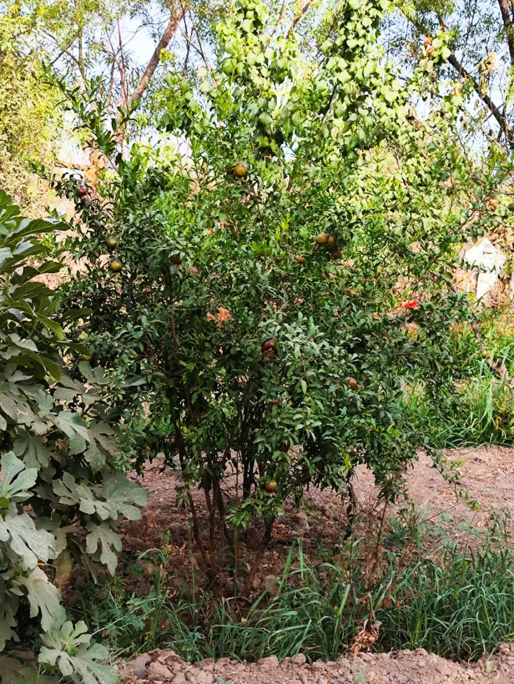فروش اداری و تجاری 1000 متری در کیانشهر