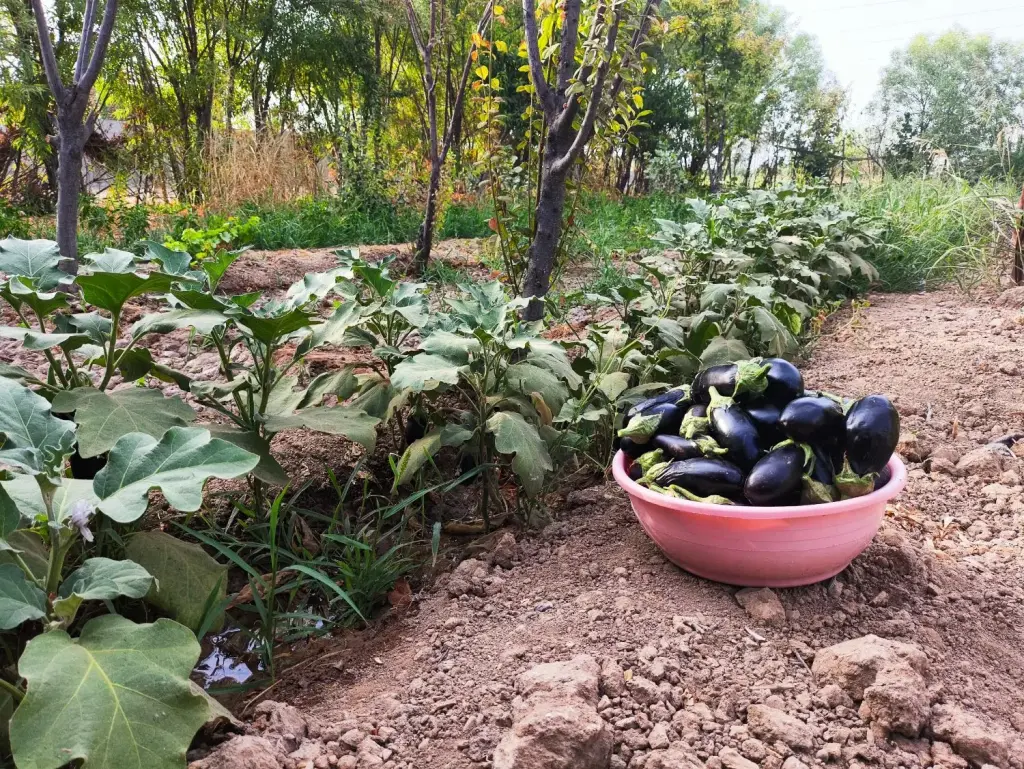 فروش اداری و تجاری 1000 متری در کیانشهر - تصویر 10