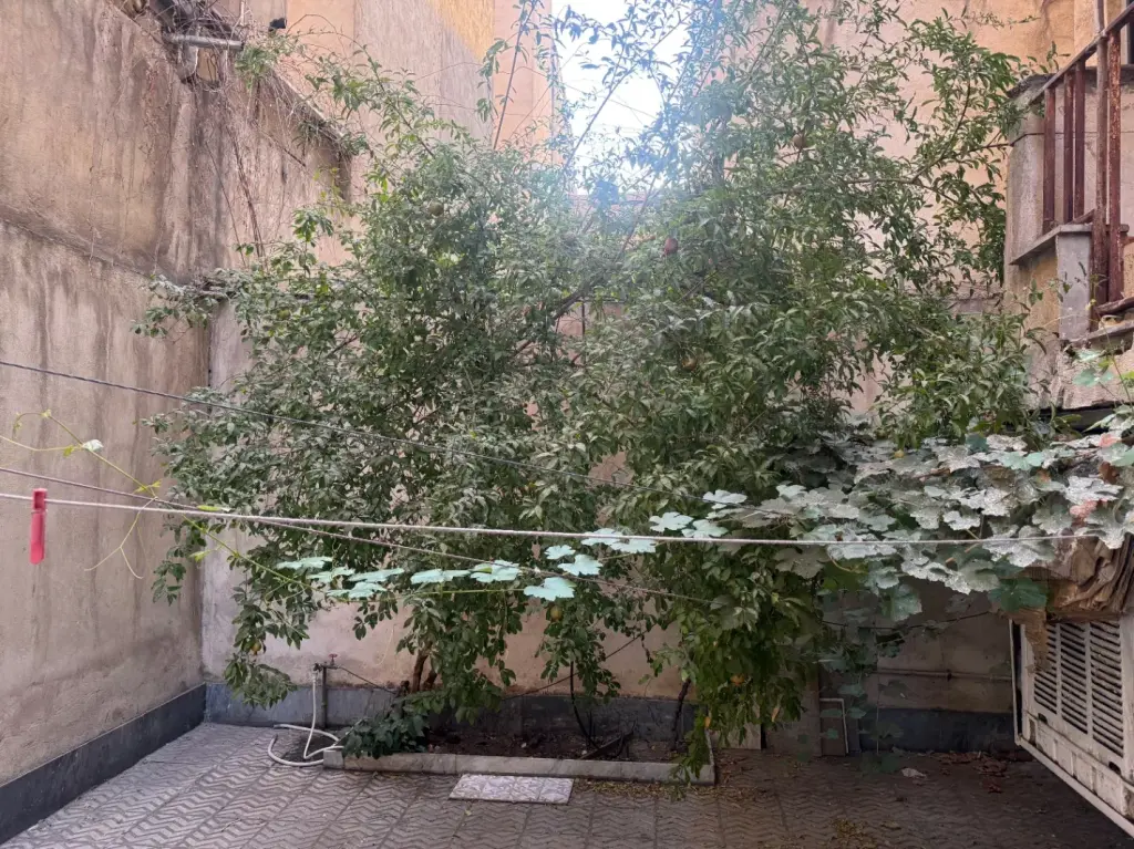 اجاره آپارتمان 60 متری در سلسبیل جنوبی - تصویر 13