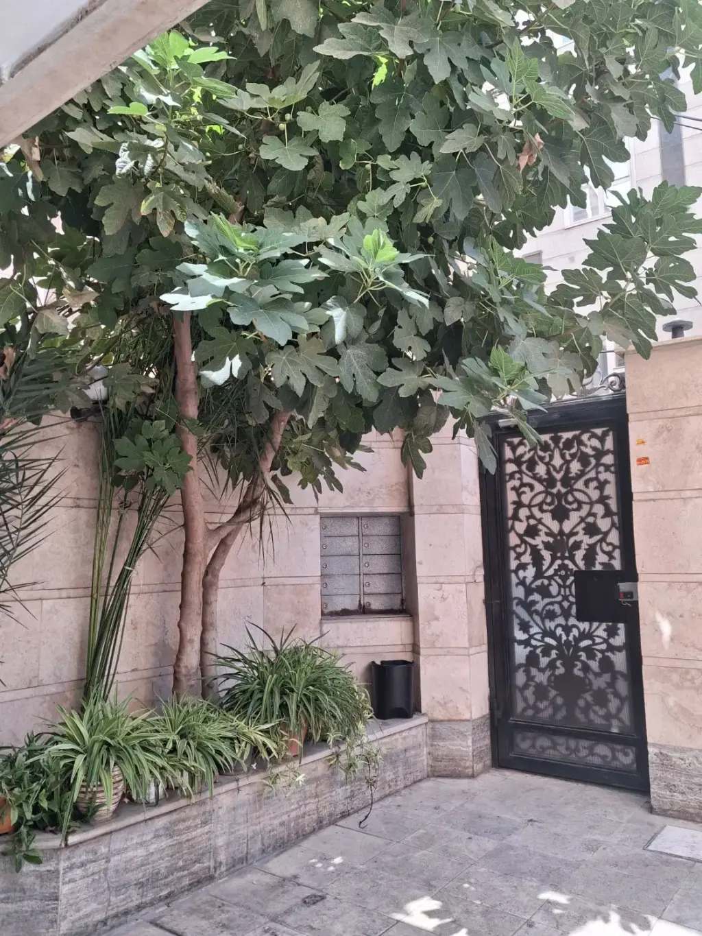 فروش آپارتمان 67 متری در منصوریه منگل - تصویر 18