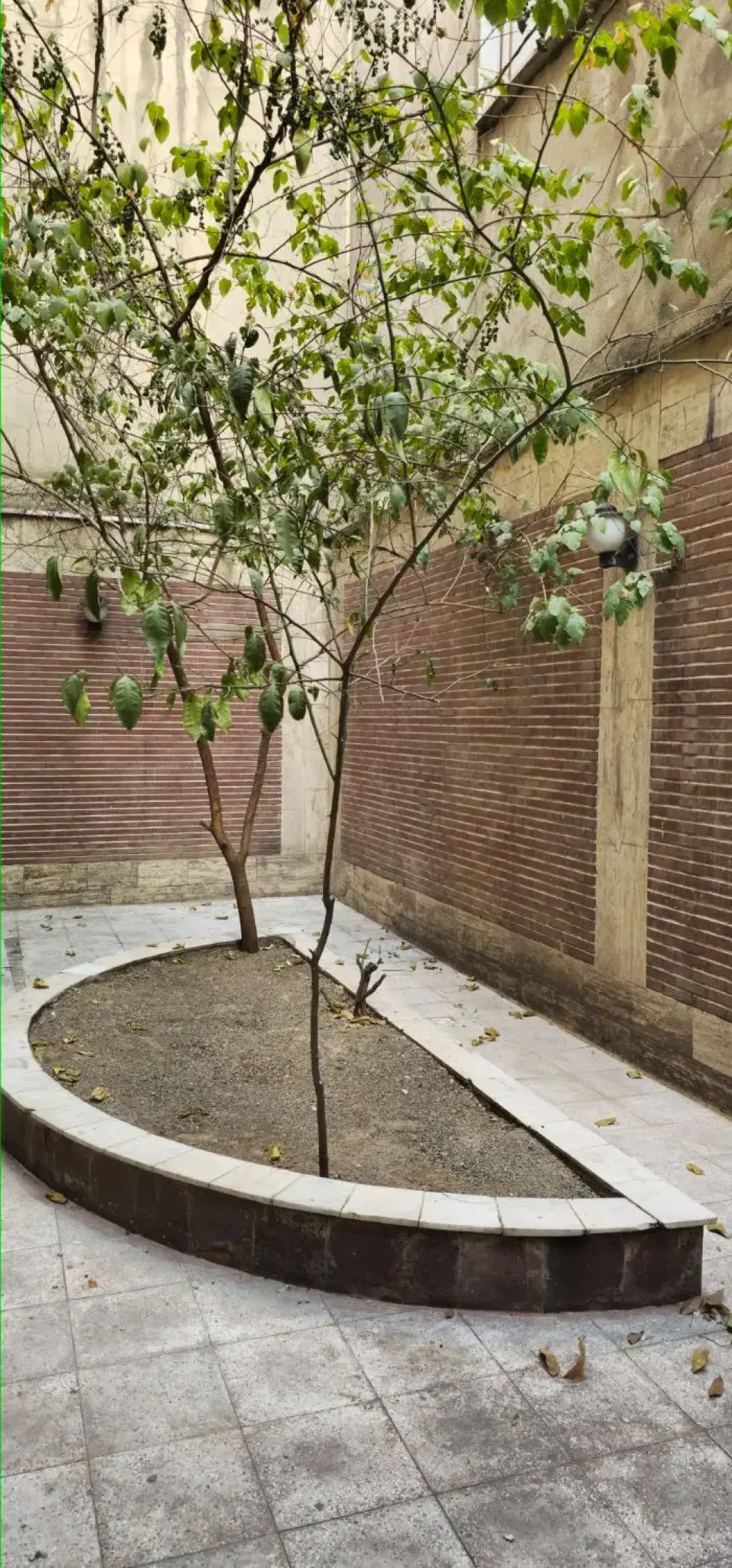 اجاره آپارتمان 80 متری در جمال‌زاده - تصویر 12