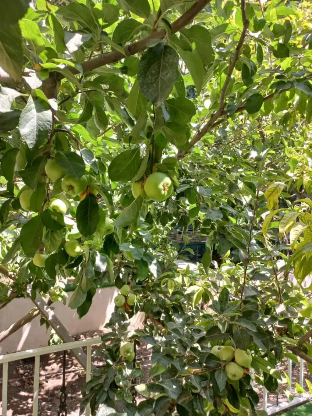 فروش خانه و ویلا 520 متری در سعادت‌آباد - تصویر 9