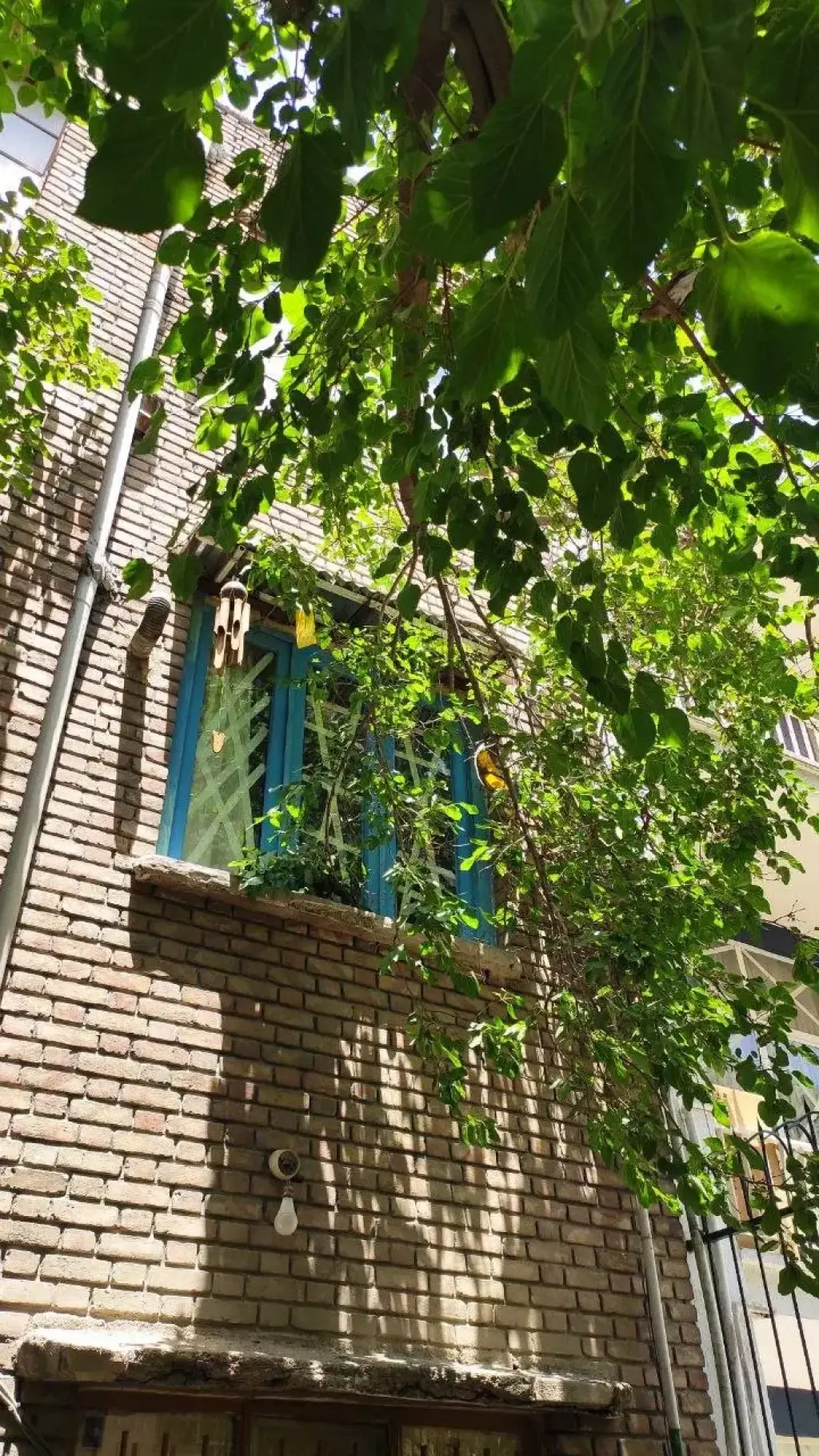 اجاره آپارتمان 50 متری در بهار - تصویر 3