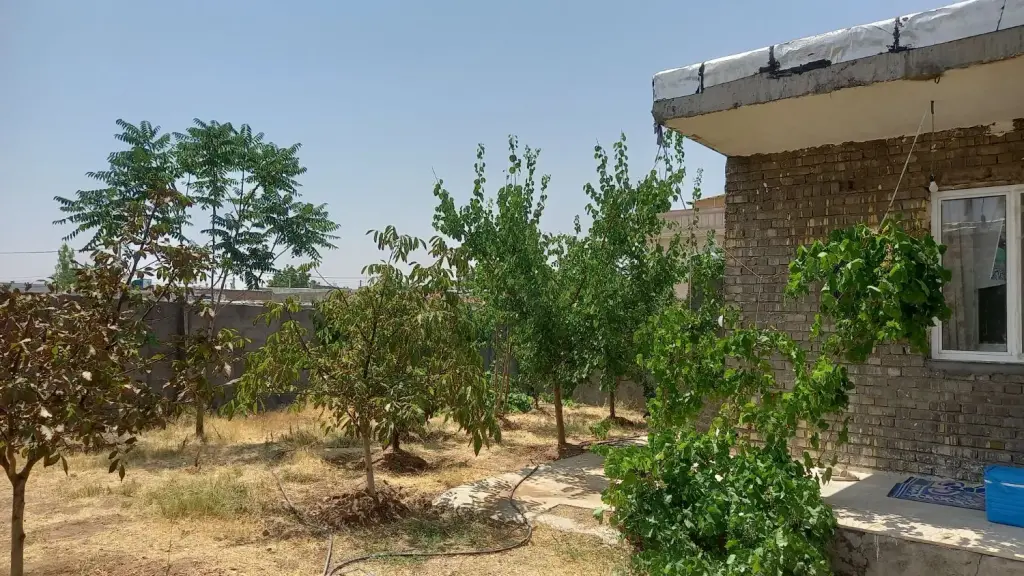 فروش خانه و ویلا 330 متری در سجاد - تصویر 2