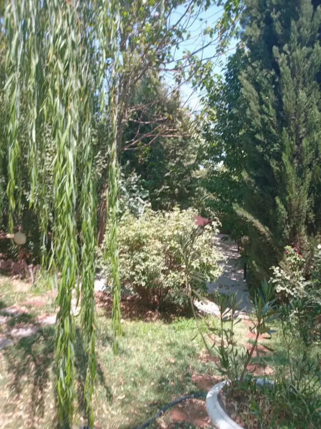 اجاره خانه و ویلا 700 متری در ولنجک - تصویر 5