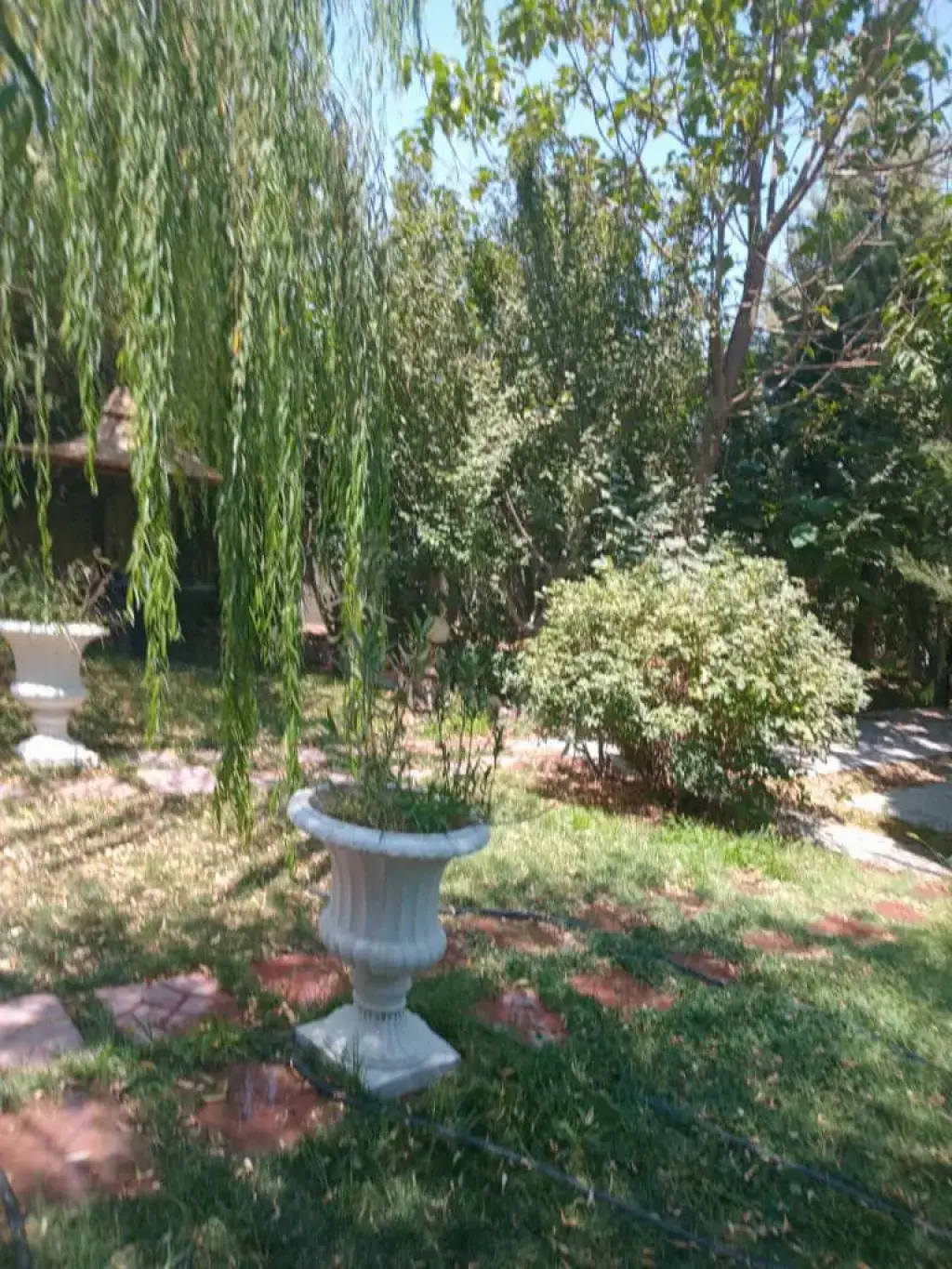 اجاره خانه و ویلا 700 متری در ولنجک - تصویر 6