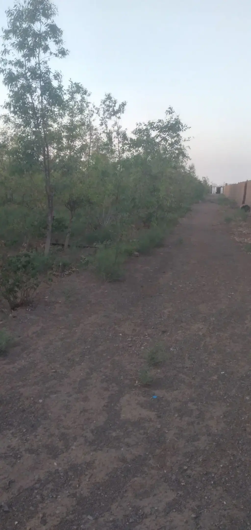 فروش اداری و تجاری 5000 متری در میدان میوه و ترهبار مرکزی