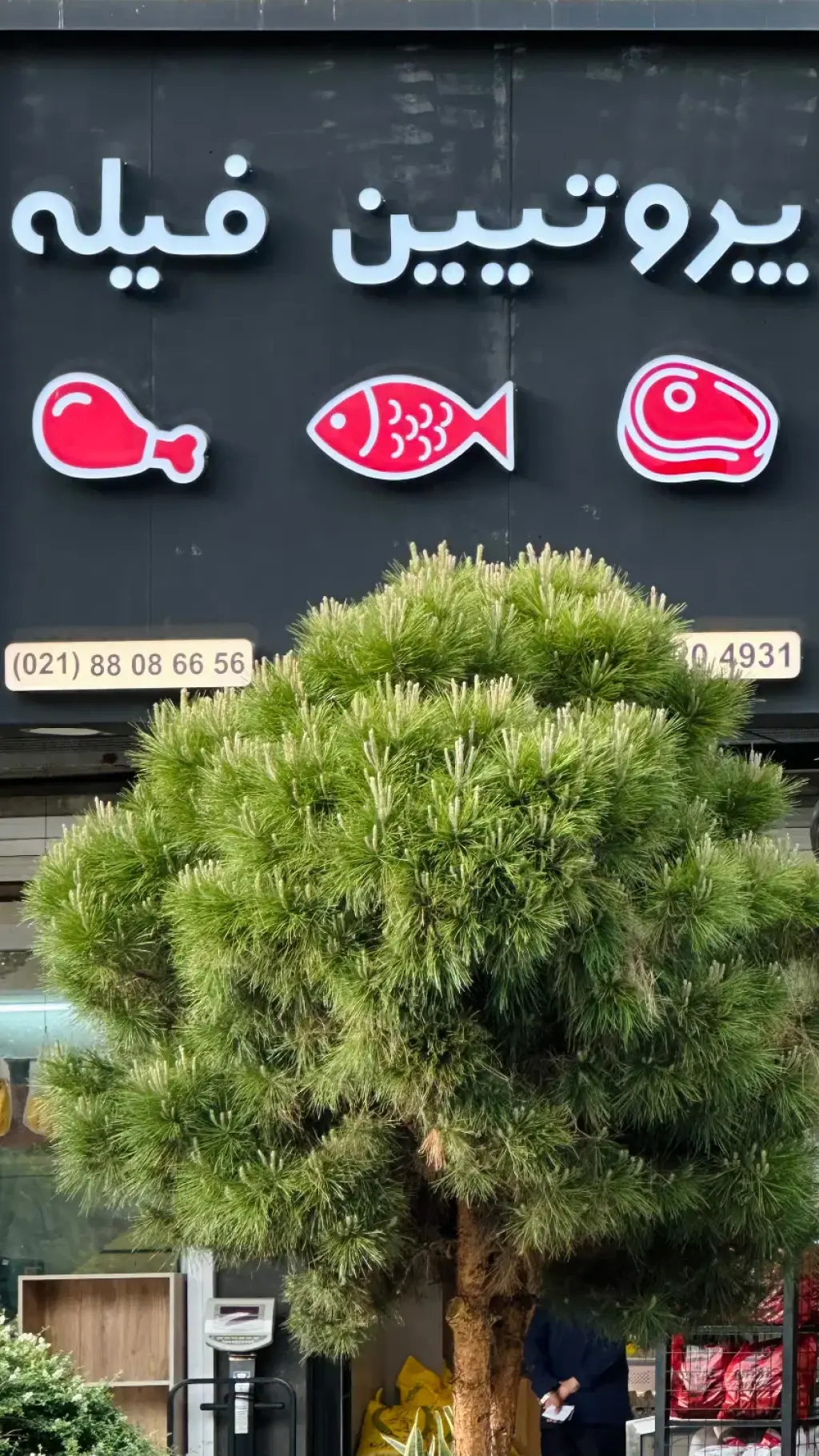 اجاره اداری و تجاری 37 متری در ایوانک