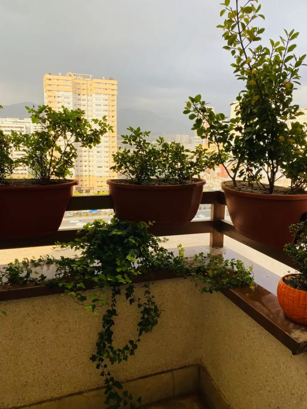 فروش آپارتمان 105 متری در کوهک - تصویر 17