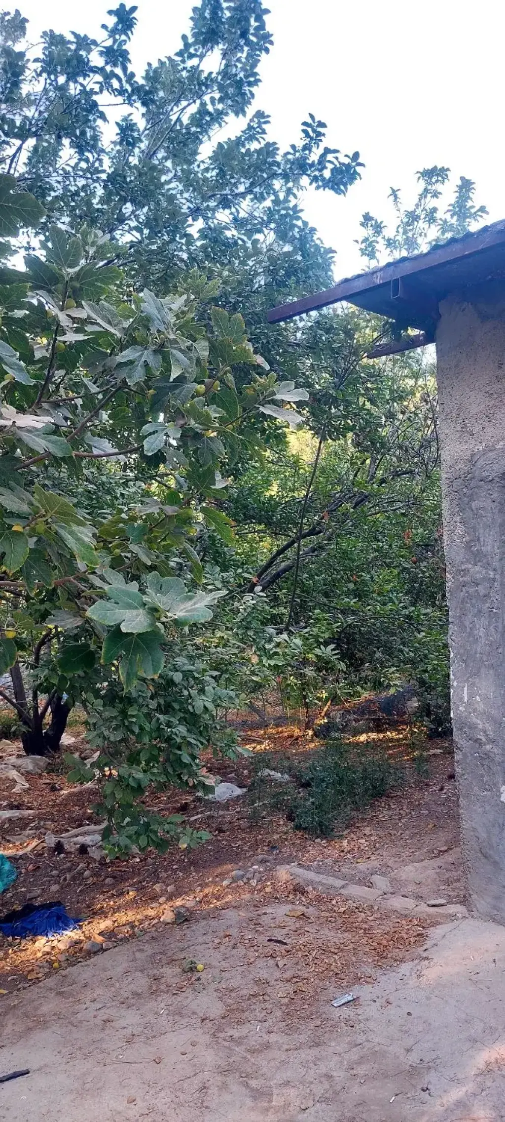 فروش اداری و تجاری 10000 متری در چیذر - تصویر 2