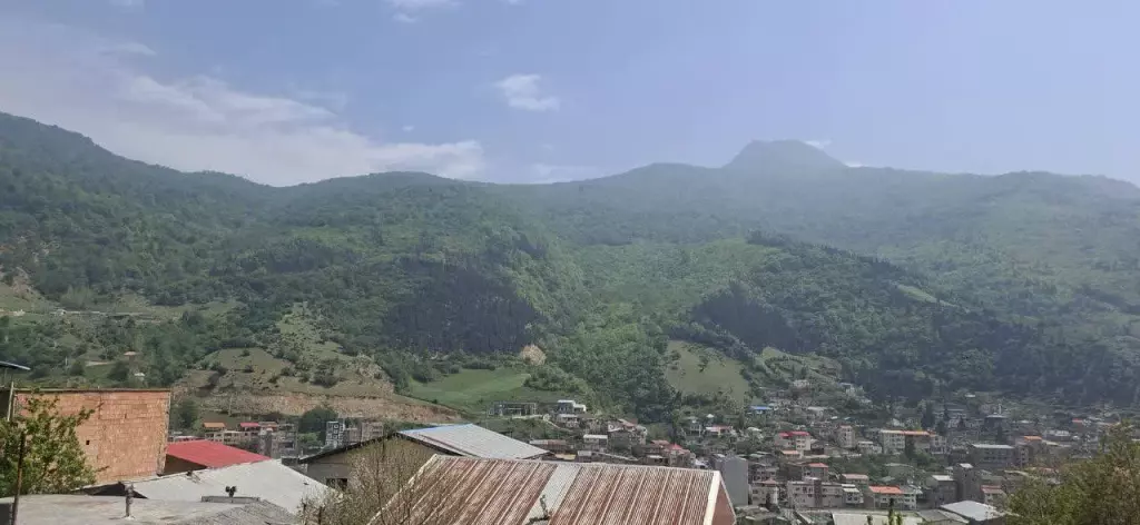 زمین پلاک یک جنگل