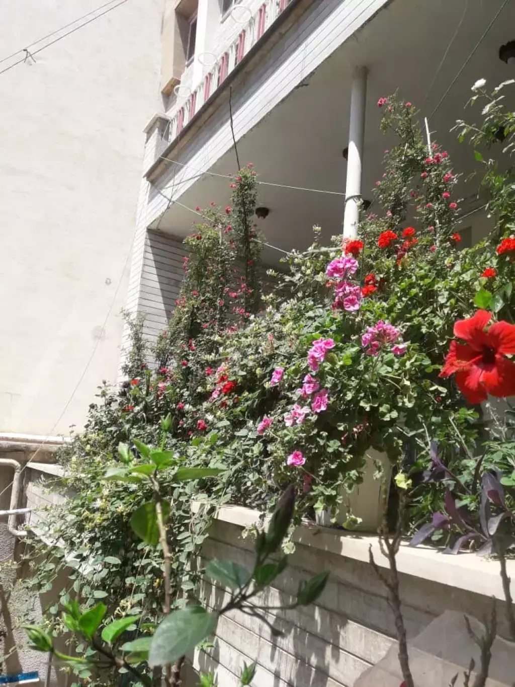 فروش خانه ویلایی در نیاوران