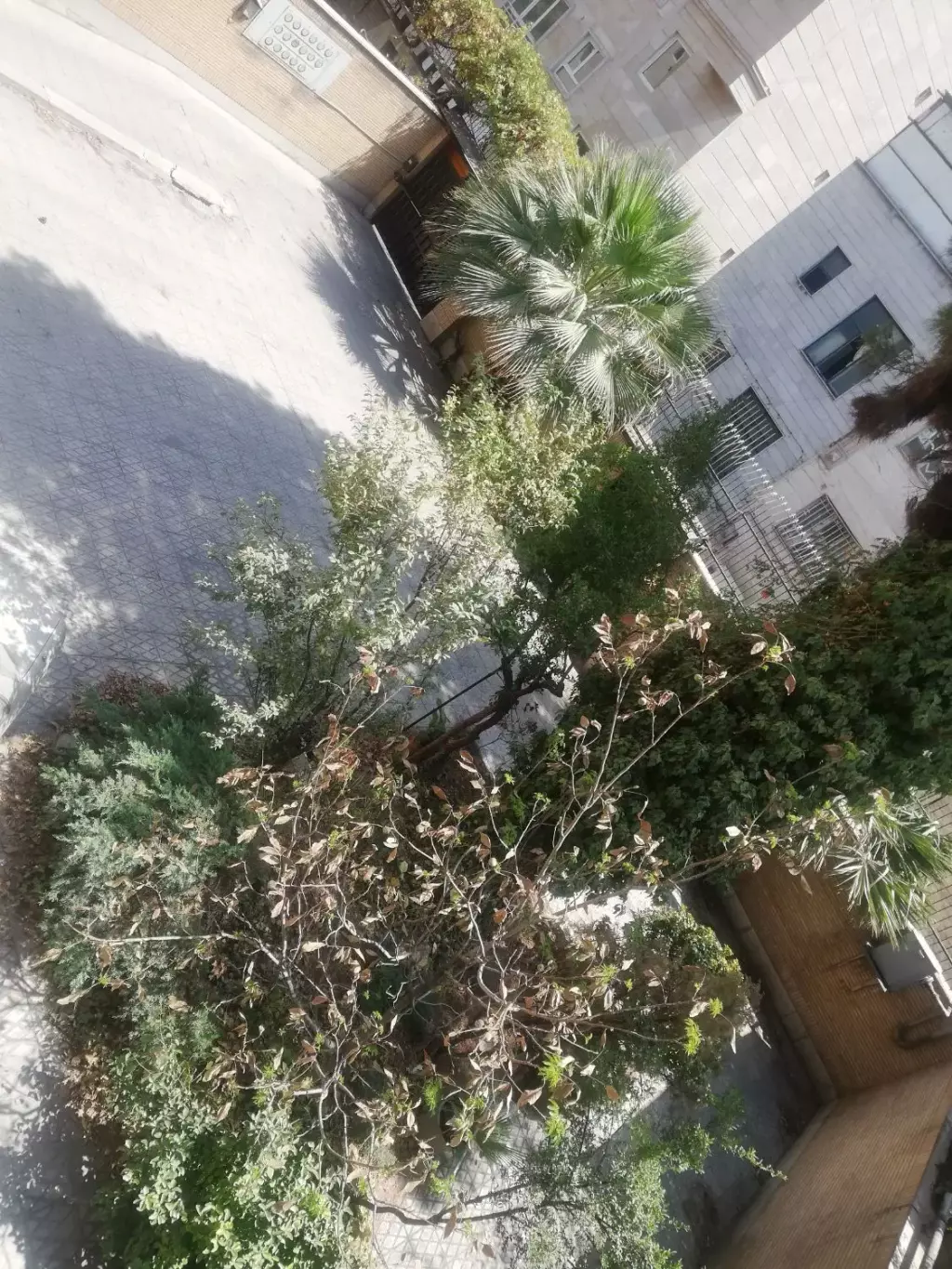 آپارتمان 76